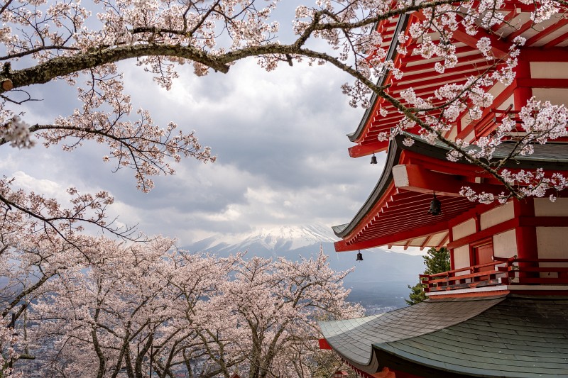 Blick auf den Mount Fuji von der Chureito Pagode