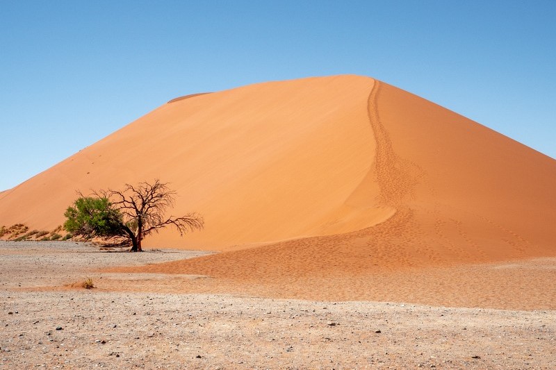 Düne 45 Sossusvlei in Namibia